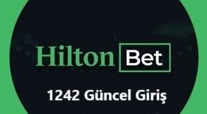 hiltonbet 1242