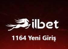 ilbet 1164