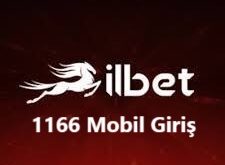 ilbet 1166