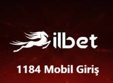 ilbet 1184