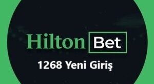 hiltonbet 1268