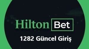 hiltonbet 1282